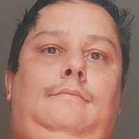 bigbellybrazil Nøgen