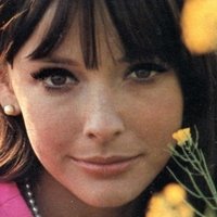 Brenda Scott Nøgen