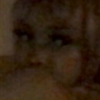 Kittypet Nøgen